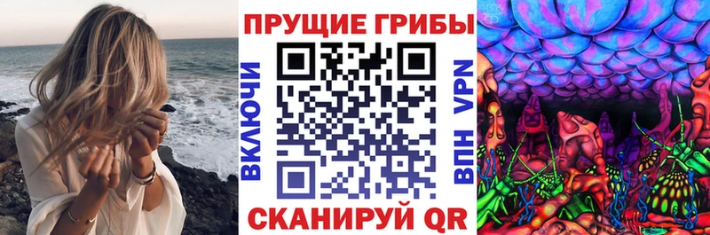 МЕГА сайт  маркетплейс какой сайт  Псилоцибиновые грибы Cubensis  Буинск 